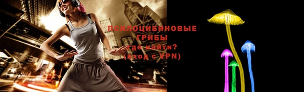 стафф Верея